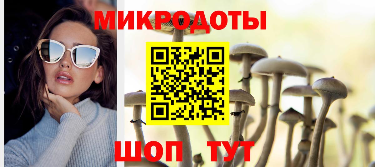 Галлюциногенные грибы прущие грибы Волгоград