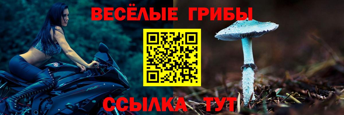 Галлюциногенные грибы мицелий  Галлюциногенные грибы Psilocybine cubensis  Вход с VPN  Волгоград 